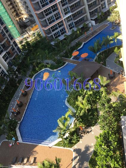 Q Bay Residences (D18), Condominium #119854922
